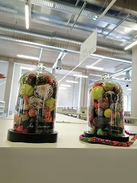 fil de la fille art 7