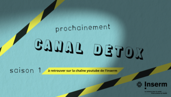 canal detox 2 art