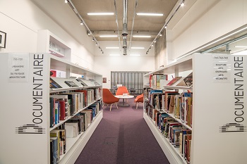 espace adulte documentaire